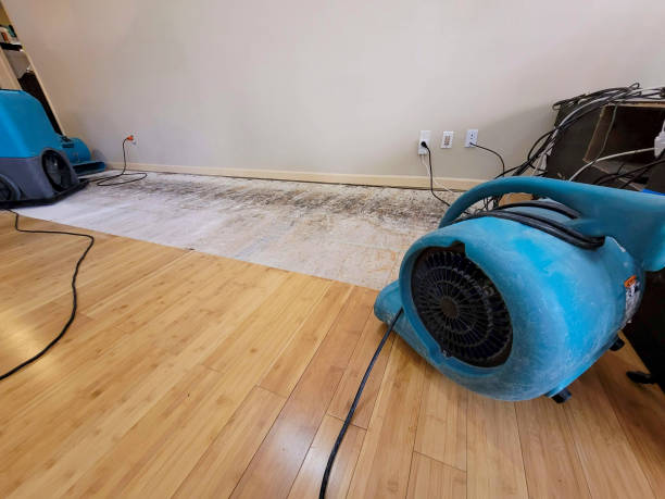 Professional Sewage Cleanup technician working in McDonald, OH